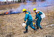 19 июня локализованы 2 лесных пожара и ликвидирован 1 ландшафтный